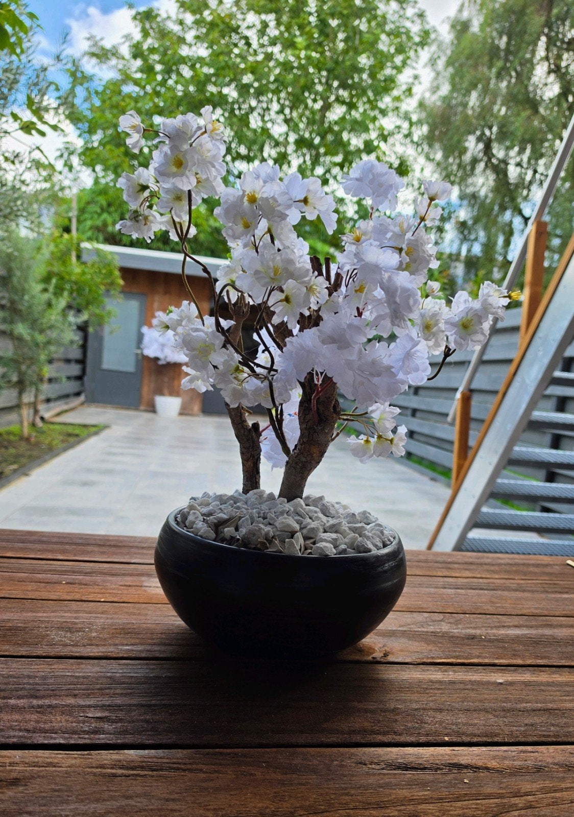 Tafelmodel bloesemboom wit in zwarte schaal, Ophalen, Binnen, Nieuw, Wit