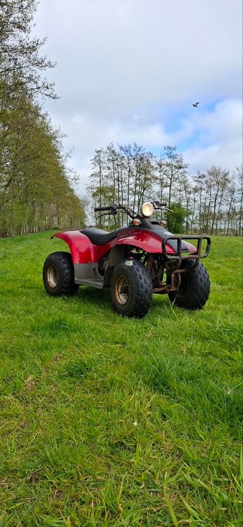 E-Ton Viper DXL 50cc - Zeer nette staat -, Fietsen en Brommers, Ophalen, Gebruikt, Overige typen, Eton