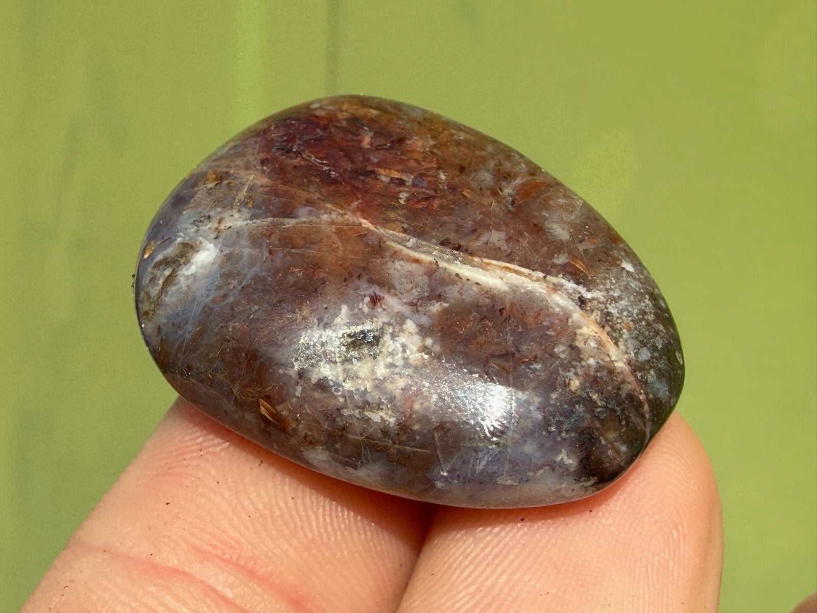 Pietersiet legger palmsteen mineralen, Ophalen of Verzenden, Mineraal