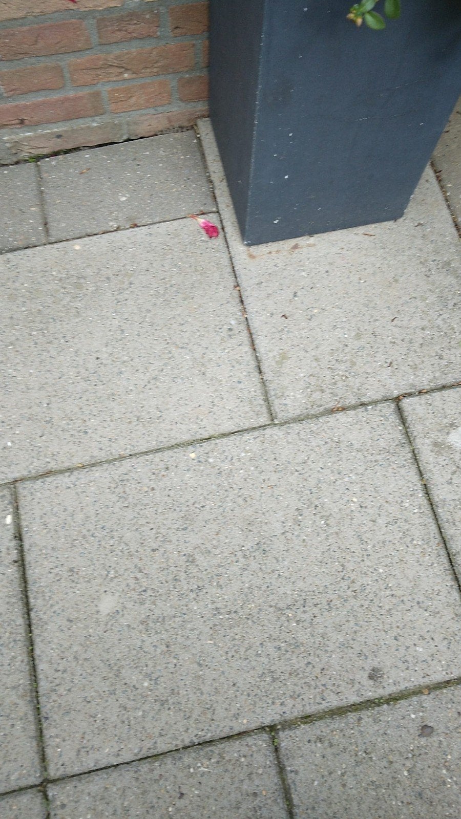 beton tegels 40 x 60, Ophalen of Verzenden, Beton, 10 m² of meer, Terrastegels