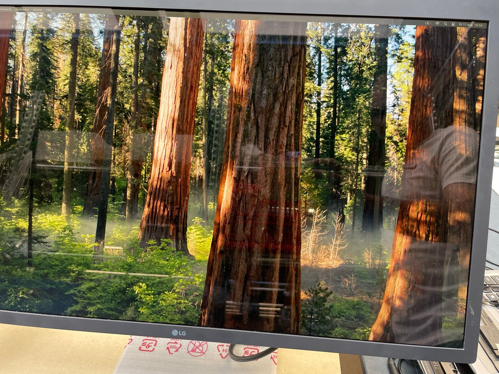 LG UltraFine 5K 27MD5KL Display voor Mac - Zo goed als nieuw, Computers en Software, Monitoren, Ophalen, IPS, LG, Zo goed als nieuw