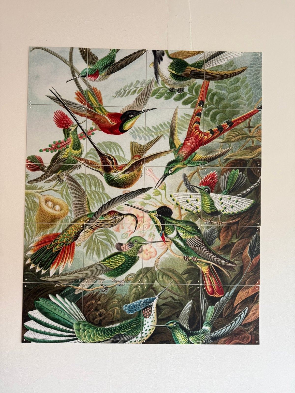 TE KOOP IXXI SCHILDERIJ HUMMINGBIRDS, Antiek en Kunst, Kunst | Litho's en Zeefdrukken, Origineel, Ophalen of Verzenden, Dieren en Natuur