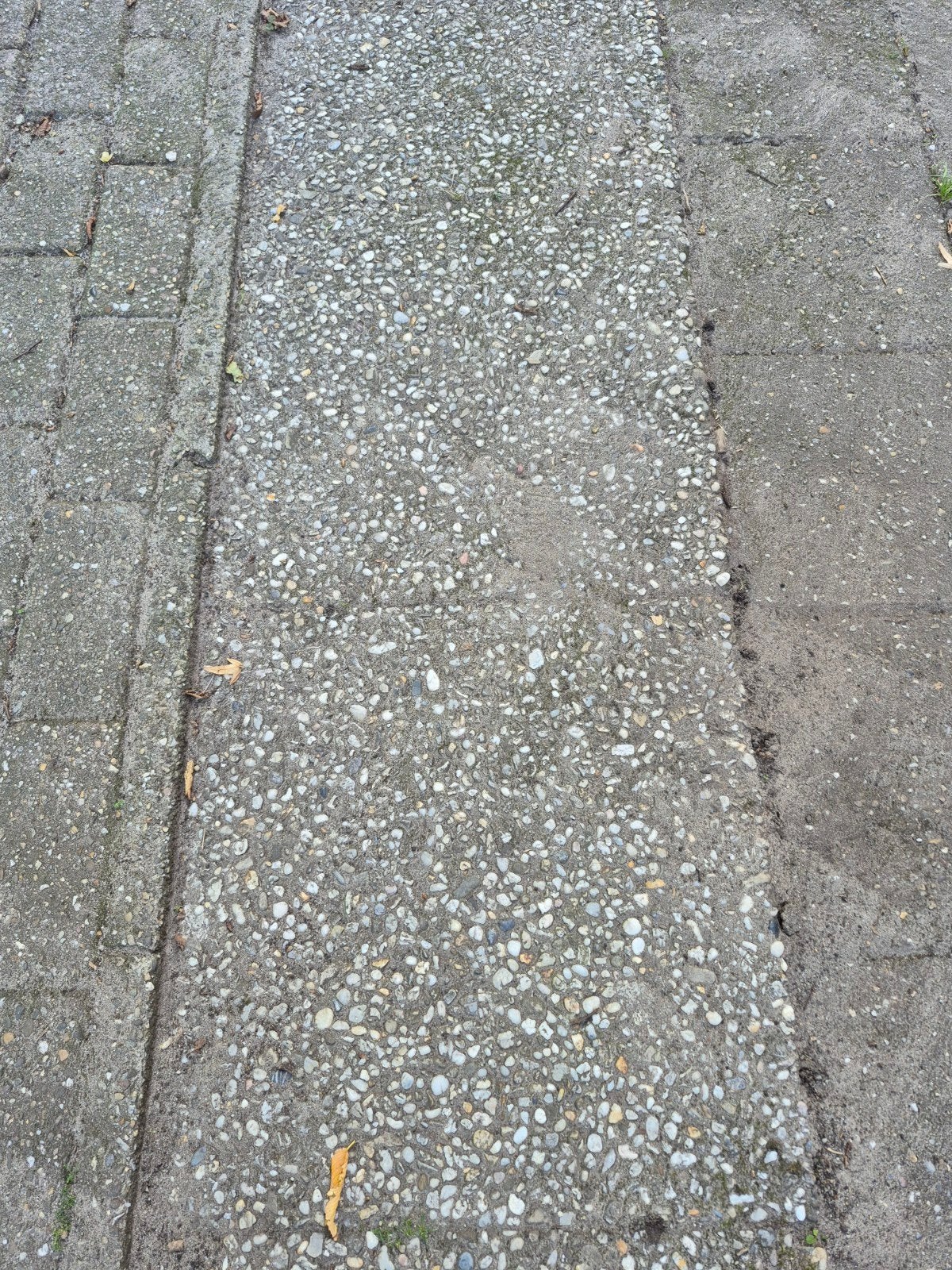 betontegels 50 x 50, Ophalen, Beton, Terrastegels