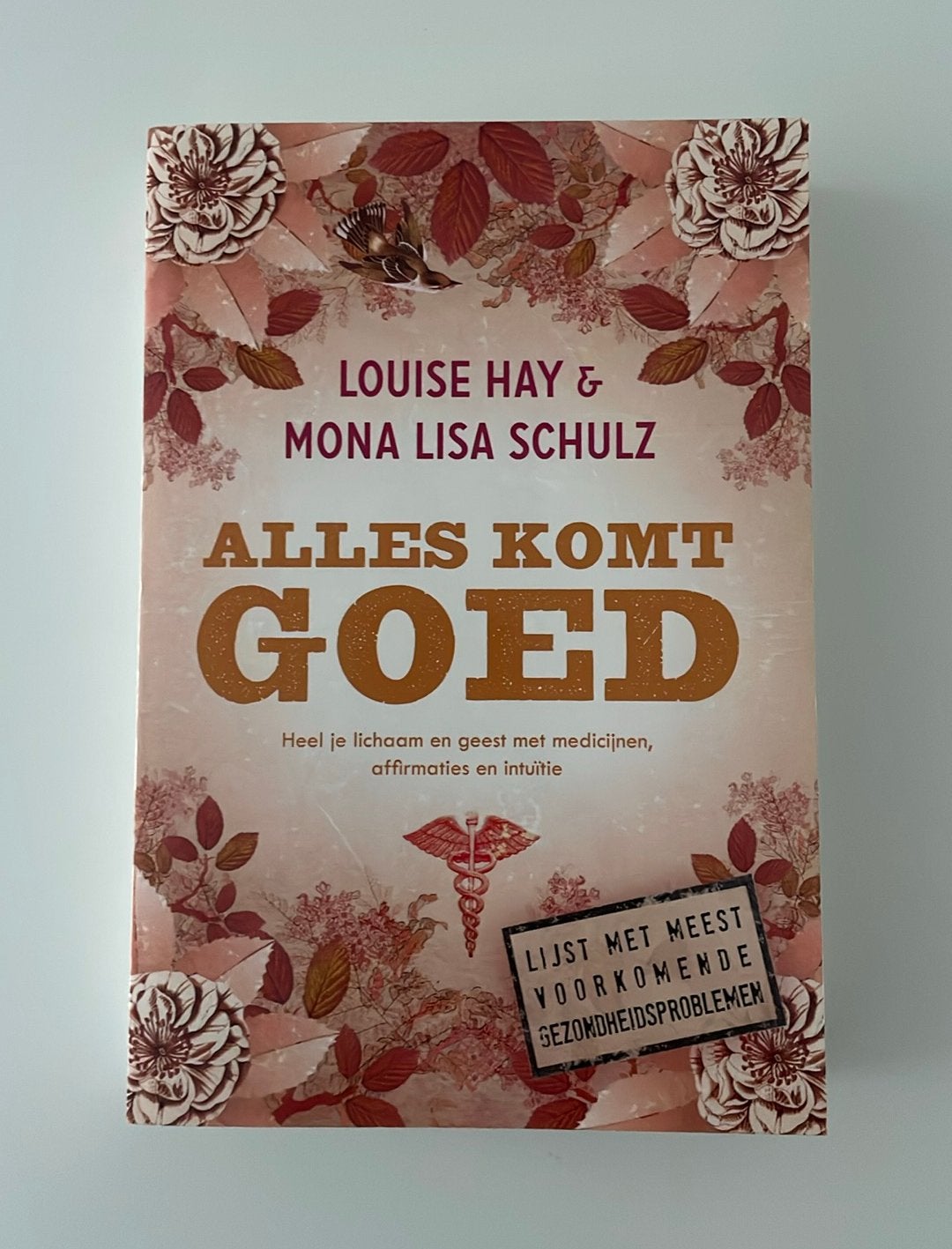 Louise Hay - Alles komt goed, Boeken, Achtergrond en Informatie, Ophalen of Verzenden, Zo goed als nieuw, Overige onderwerpen