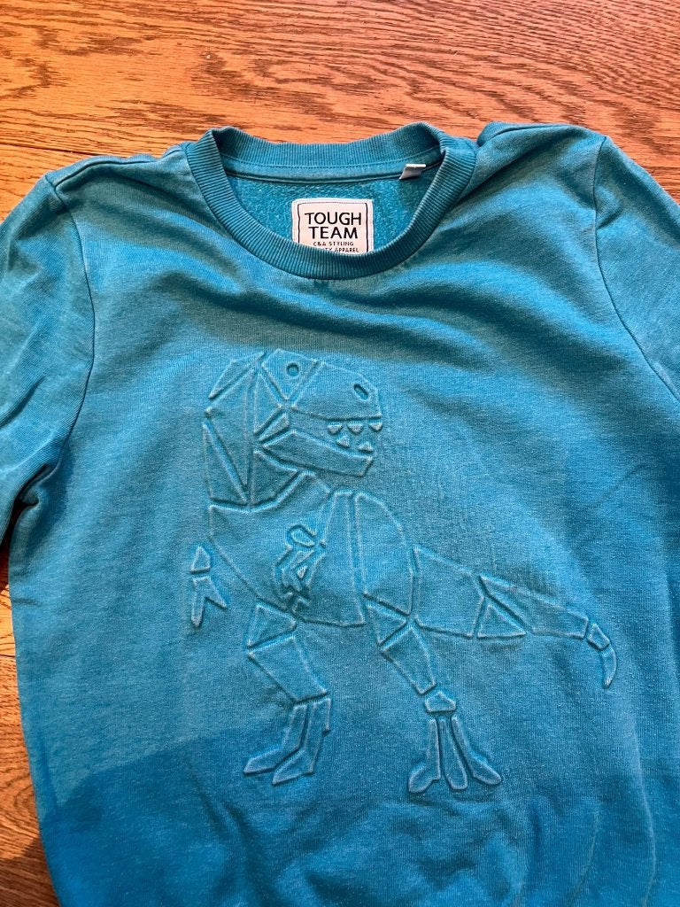 Blauwe trui met dino - maat 134/140, Ophalen of Verzenden, Jongen, Trui of Vest