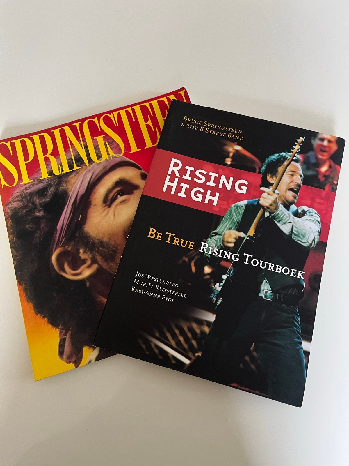 Bruce Springsteen Boeken: Rising High & Springsteen, Ophalen, Gelezen, Artiest
