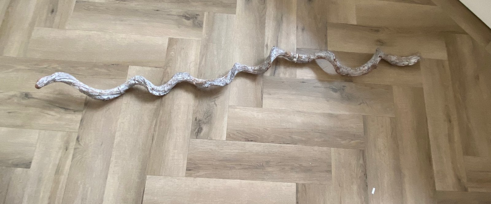 Decoratieve tak, Binnen, Overige typen, 160 cm, Ophalen of Verzenden