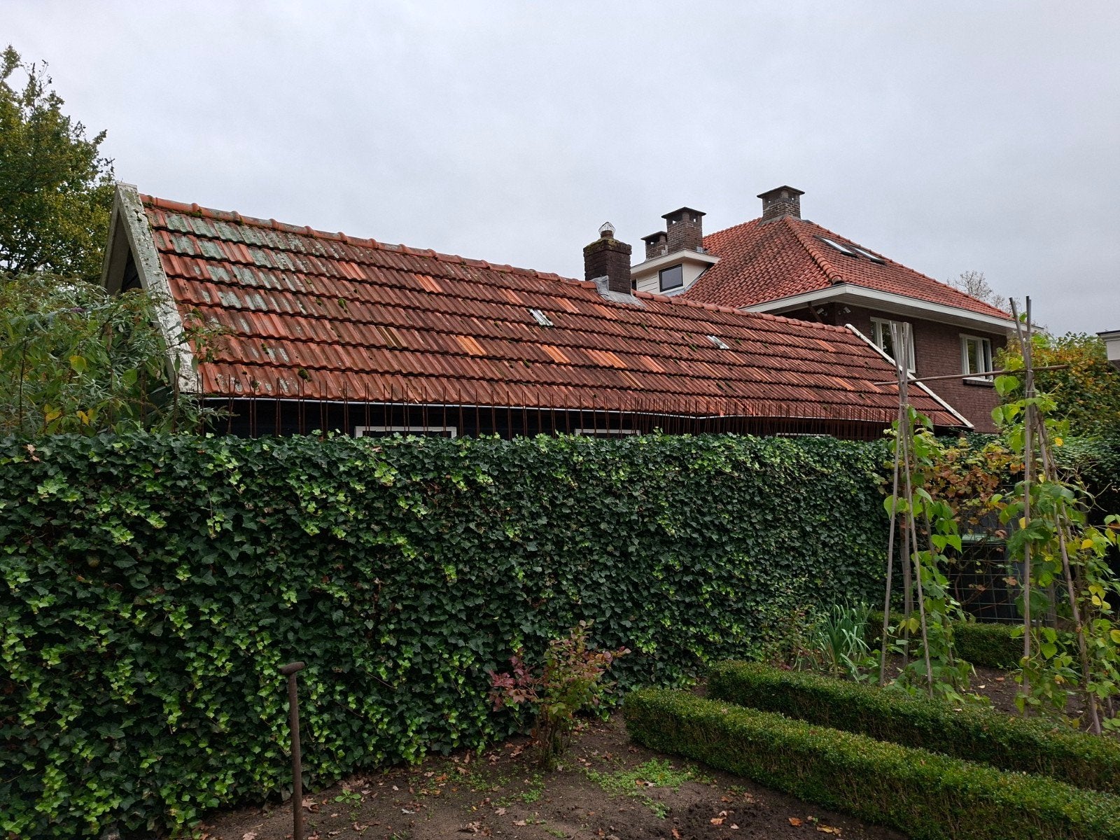 vlakke Mulden dakpannen, Ophalen, Gebruikt, Steen of Klei, 15 m² of meer