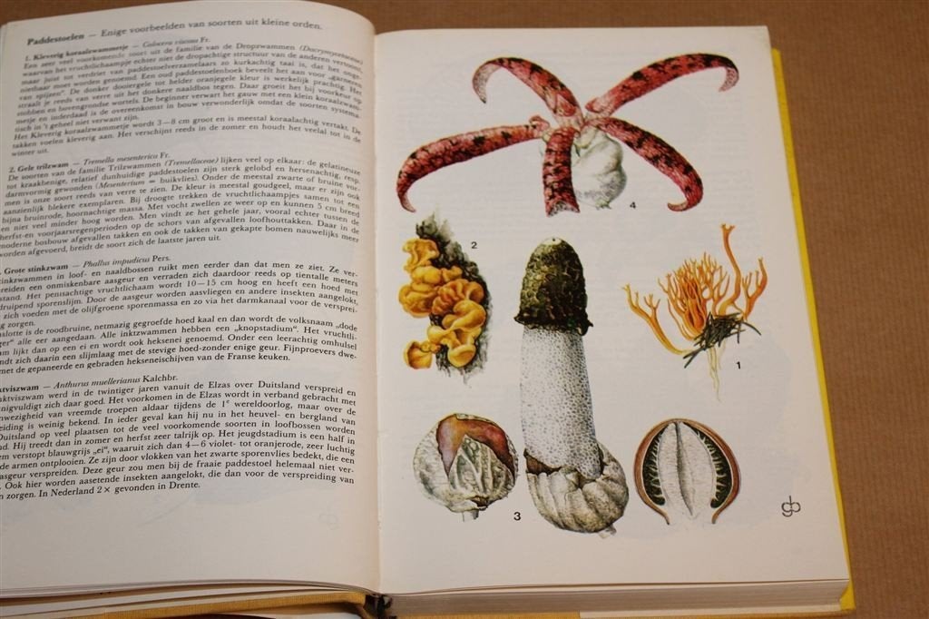 Thiemes Plantengids — Planten, Mossen en Paddestoelen Gids, Boeken, Ophalen of Verzenden, Gelezen, Bloemen, Planten en Bomen