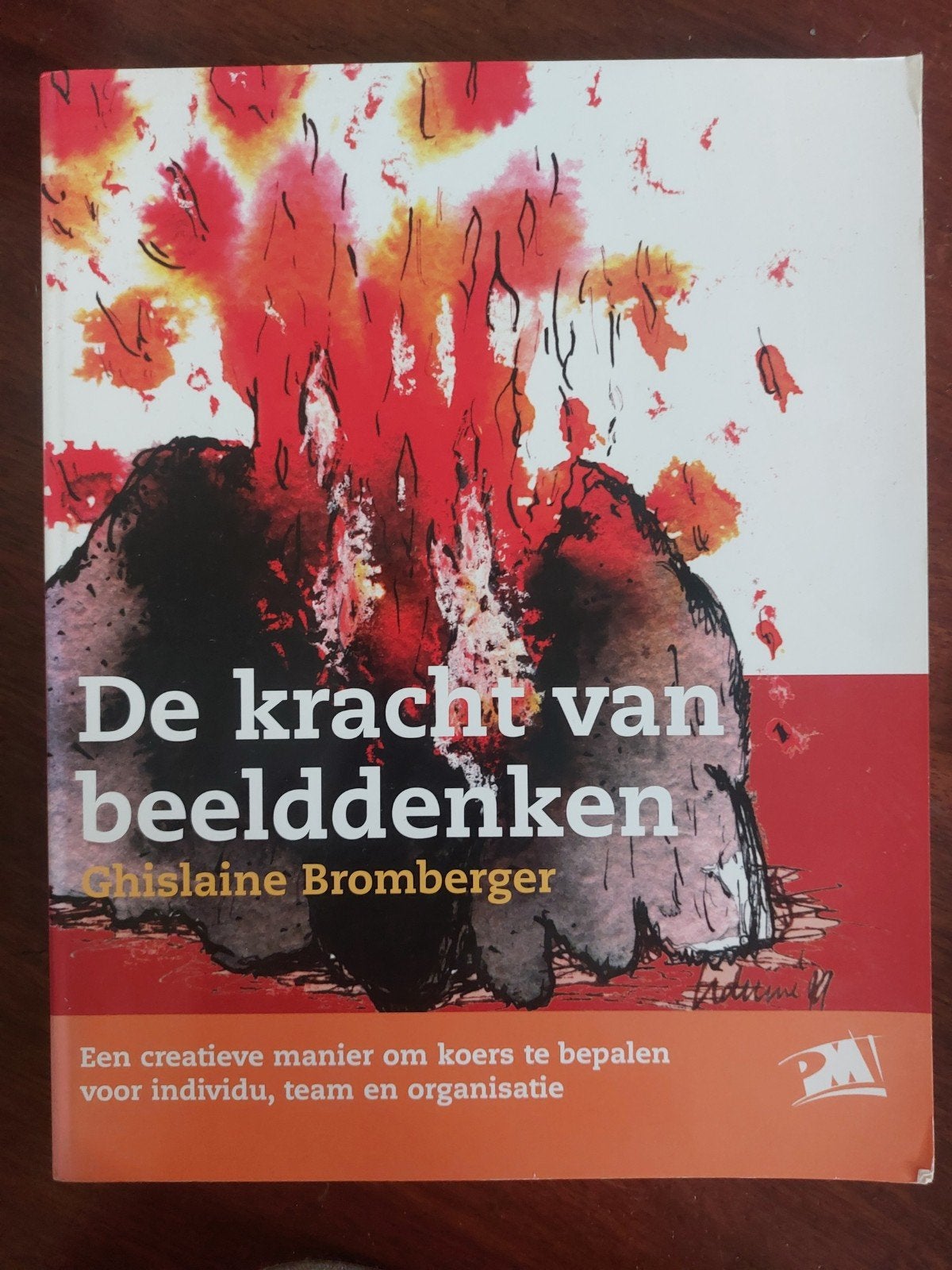 De kracht van beelddenken - Ghislaine Bromberger, Boeken, Ophalen of Verzenden, Zo goed als nieuw, Ghislaine Bromberger