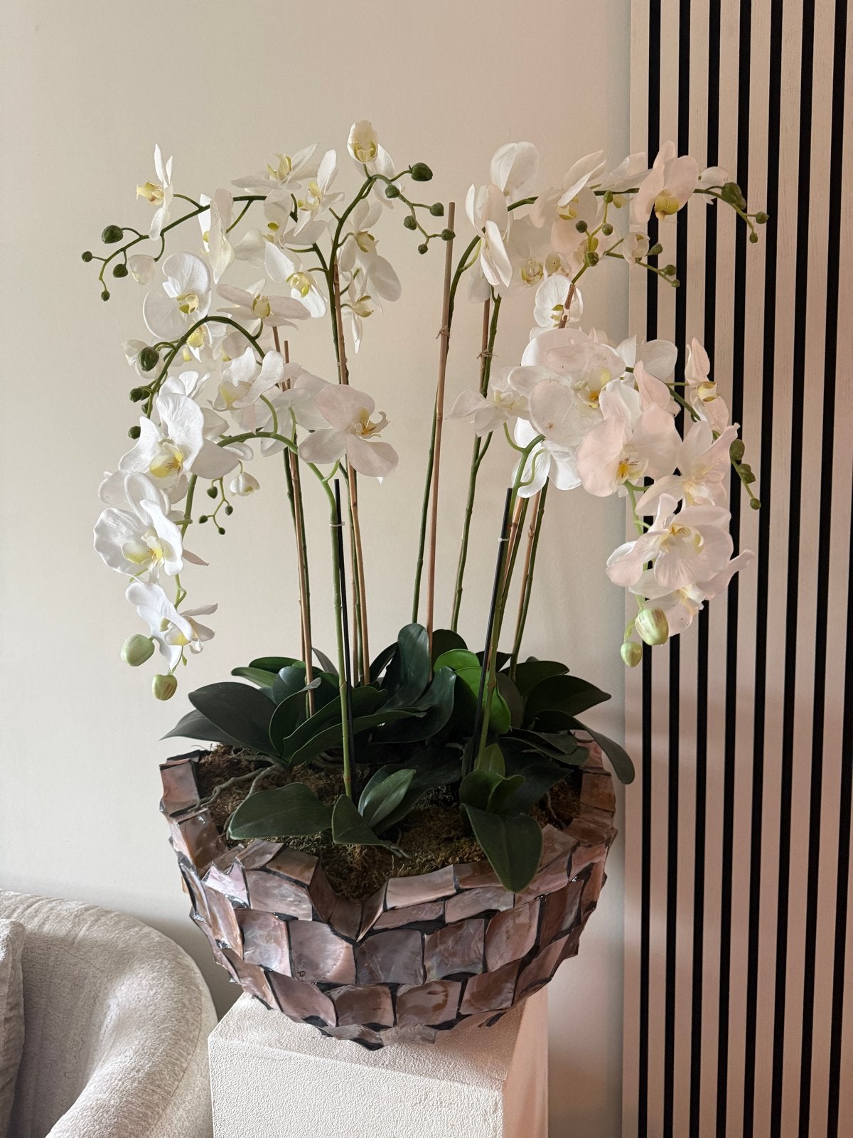 Prachtige kunst orchideeën in stijlvolle schelpen vaas, Huis en Inrichting, Kamerplanten, Ophalen, 100 tot 150 cm, Overige soorten