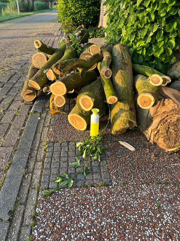 Gouden regen dikke stammen 0,5m3, Doe-het-zelf en Verbouw, Ophalen, Plank, 50 mm of meer, Minder dan 200 cm