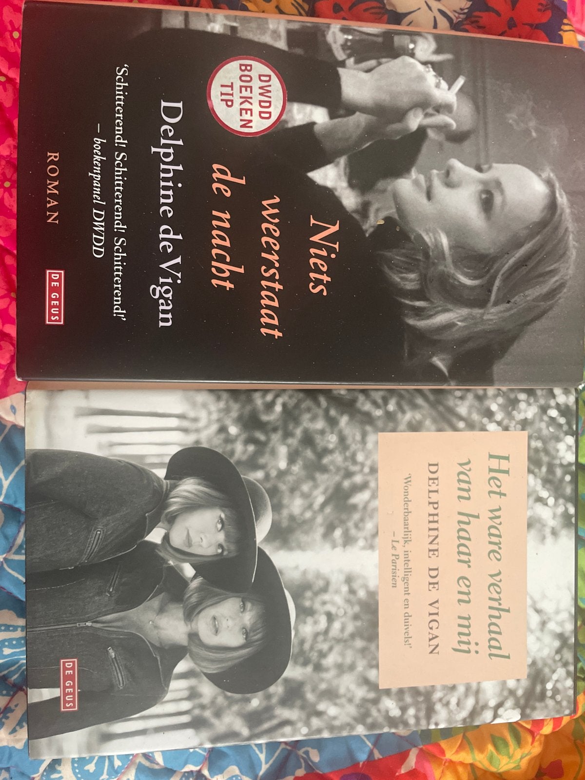 2 romans van Delphine de Vigan: Niets weerstaat de nacht & H, Boeken, Ophalen of Verzenden, Gelezen