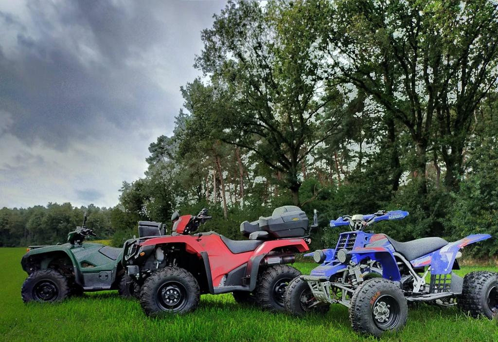 Gezocht : Yamaha, Honda, Polaris, Suzuki, Kawasaki en Can-am, 1 cilinder