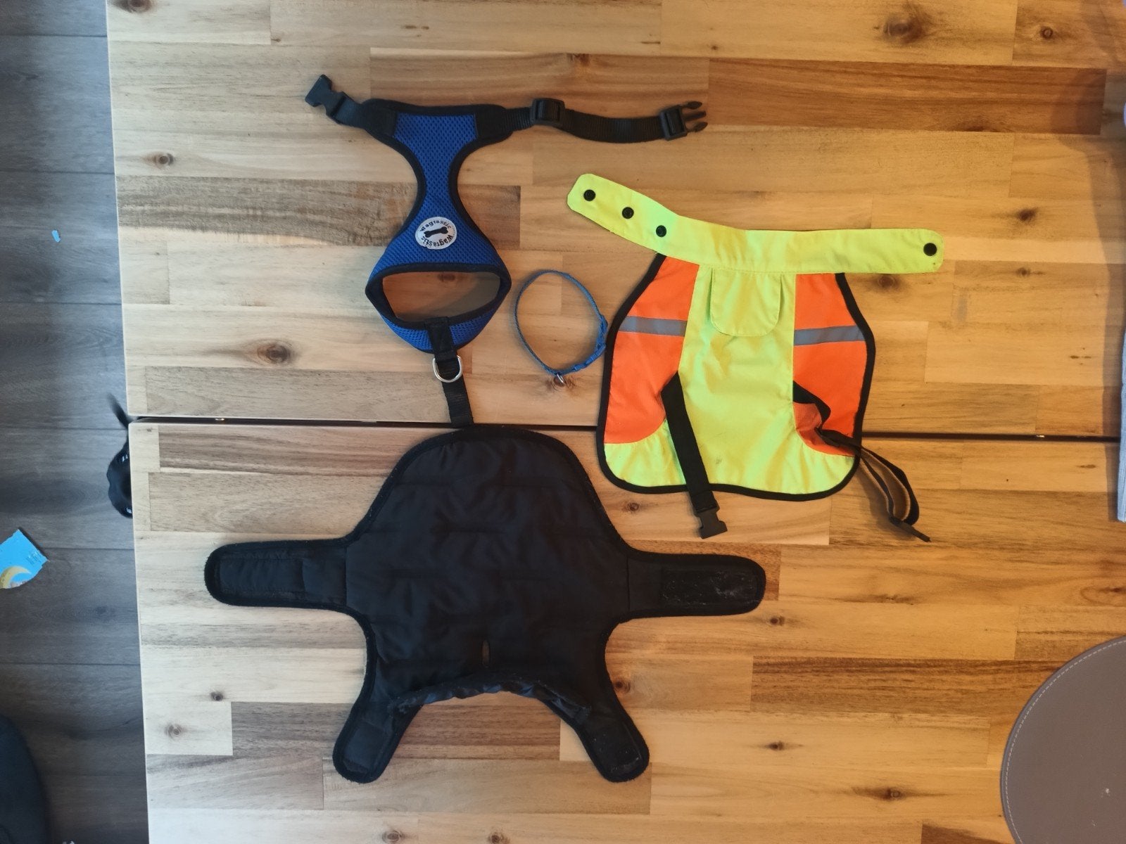 Puppy jasjes + riempje en tuigje, Dieren en Toebehoren, Honden-accessoires, Ophalen, Zo goed als nieuw, Overige typen