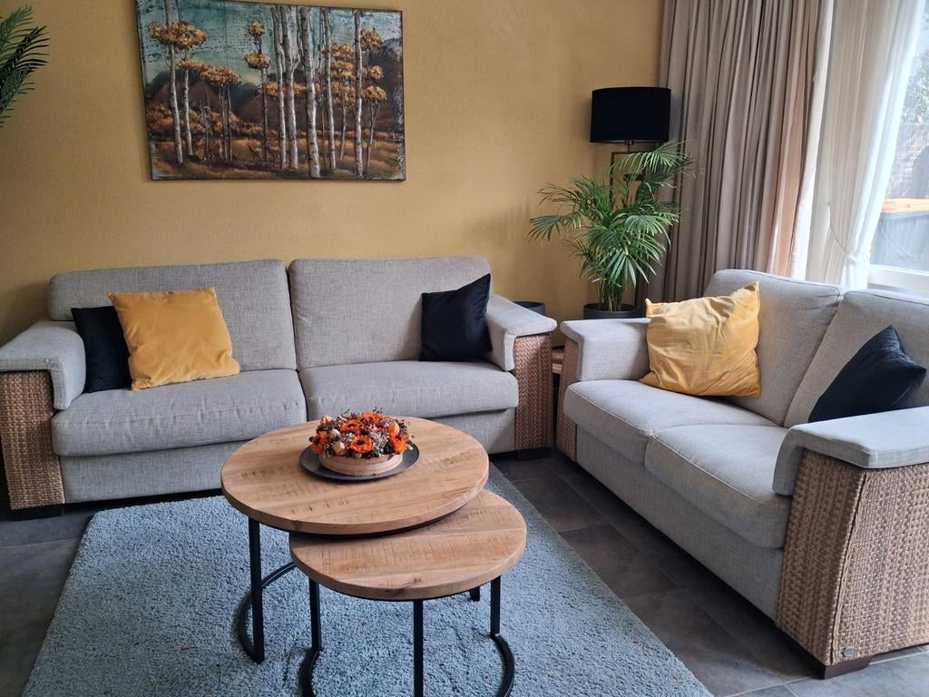 Banken 2 en 3 zits kleur beige met rotan zijkanten en gest, Ophalen, 75 tot 100 cm, Stof