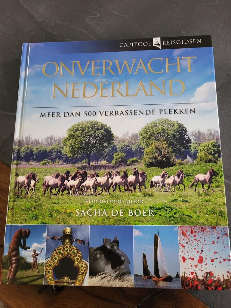 Bartho Hendriksen - Onverwacht Nederland, Boeken, Capitool, Bartho Hendriksen, Ophalen of Verzenden, Zo goed als nieuw