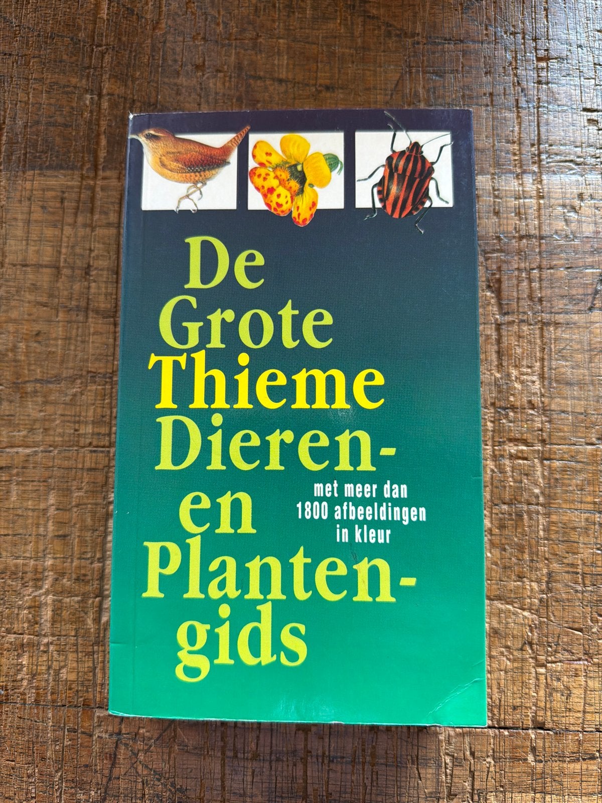 De Grote Thieme Dieren- en Plantengids - Natuurgids, Ophalen of Verzenden, Zo goed als nieuw, Natuur algemeen