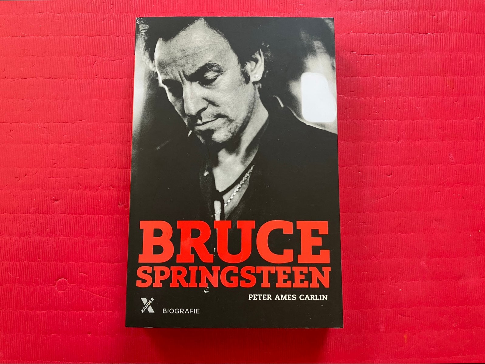 Bruce Springsteen biografie, Ophalen of Verzenden, Gelezen, Artiest