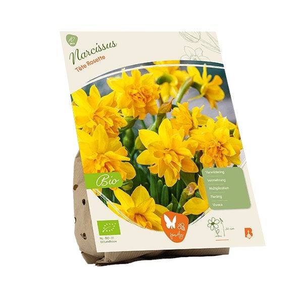 Narcis (Narcissus Tête Rosette) BIOLOGISCH, Ophalen of Verzenden, Najaar, Volle zon, Bloembol