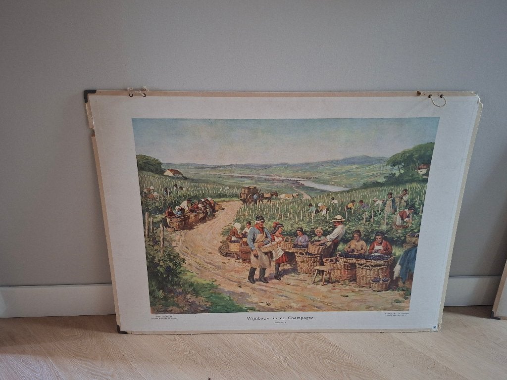 Schoolplaat 'Wijnbouw in de Champagne', Ophalen of Verzenden, Aardrijkskunde