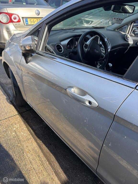 Voordeur links linksvoor Ford Fiesta VI ('08-'17), Auto-onderdelen, Ophalen, Gebruikt, Ford, Deur