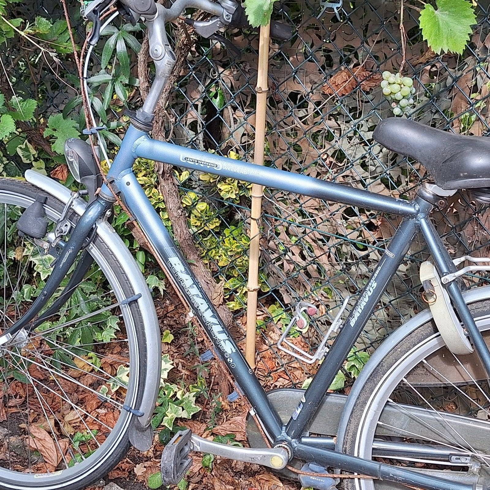 fiets, Ophalen of Verzenden, Gebruikt, Minder dan 10 versnellingen, Overige merken