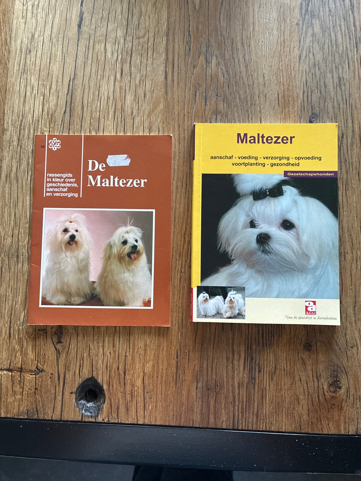 Boeken over de Maltezer hond - 2 stuks, Ophalen of Verzenden, Zo goed als nieuw, Honden