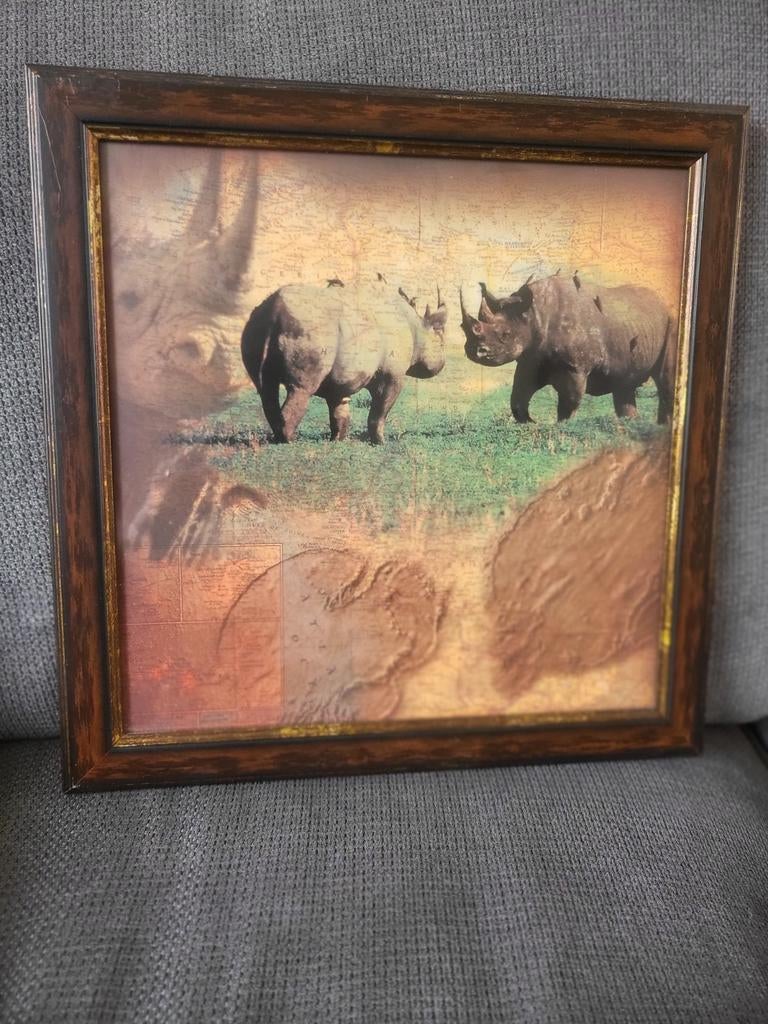 Ingelijste print neushoorns 35x35 cm, Ophalen, Minder dan 50 cm, Minder dan 50 cm, Print