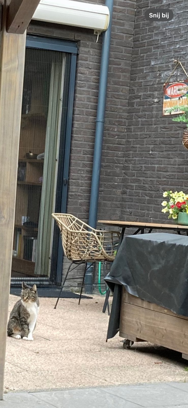 Gratis tegels inclusief hoge druk reiniger, Ophalen, Gebruikt, Beton, Terrastegels