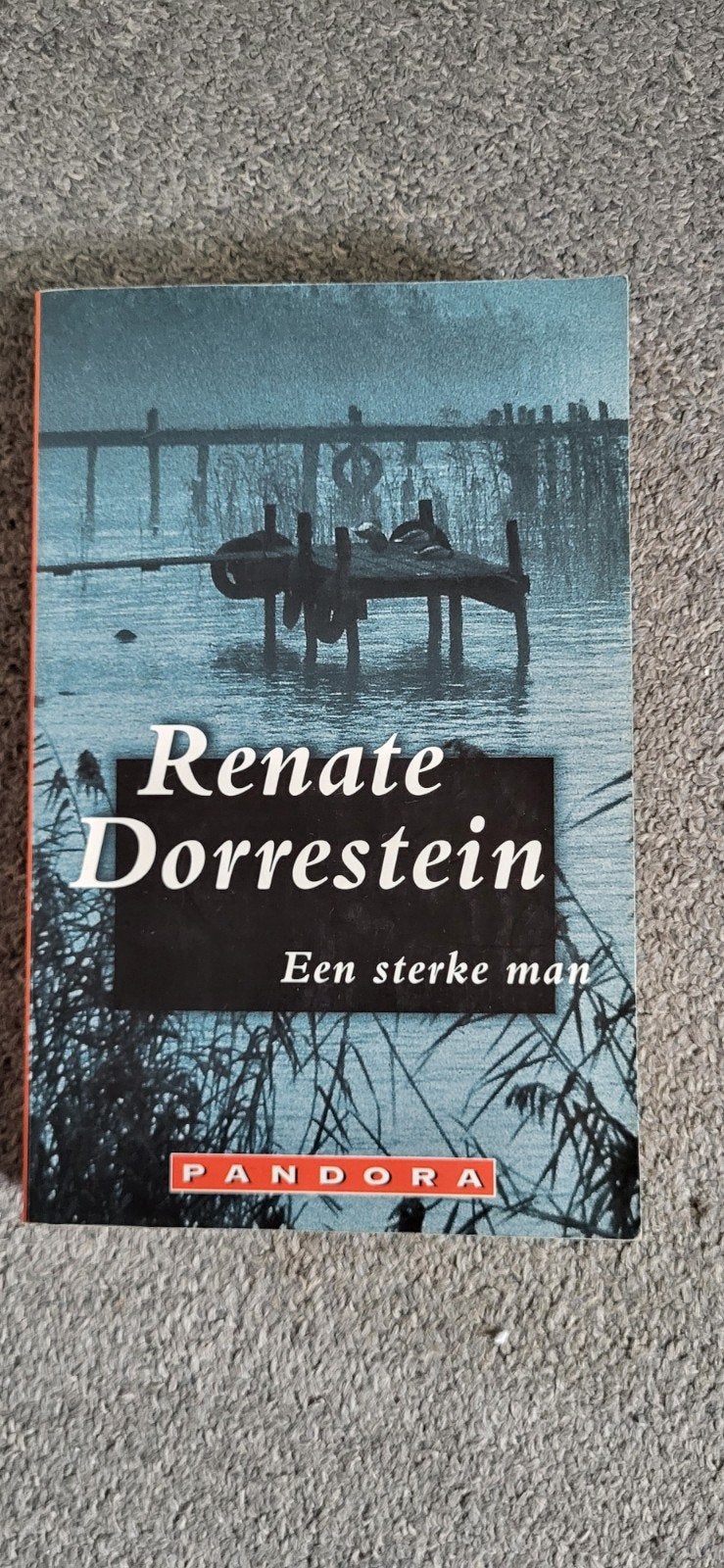 Renate Dorrestein - Een sterke man (Pandora), Ophalen of Verzenden, Gelezen, Renate Dorrestein, Nederland
