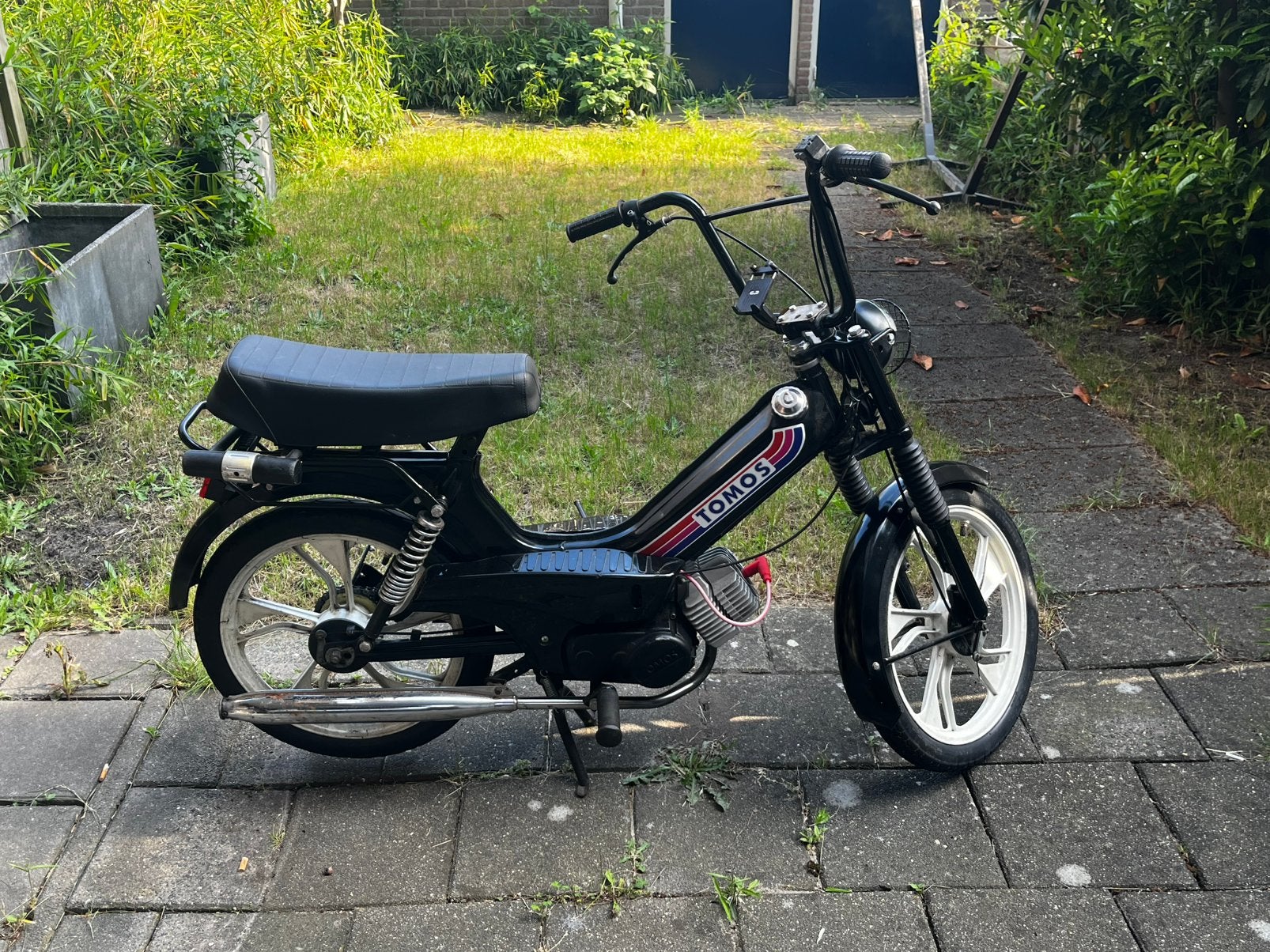 Tomos / blauw kenteken, Ophalen, Gebruikt, 2 versnellingen, 50 cc