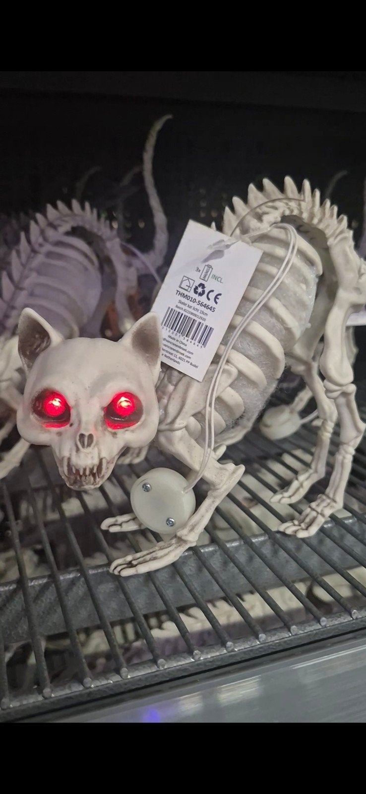 skelet kat met licht, Ophalen of Verzenden, Nieuw