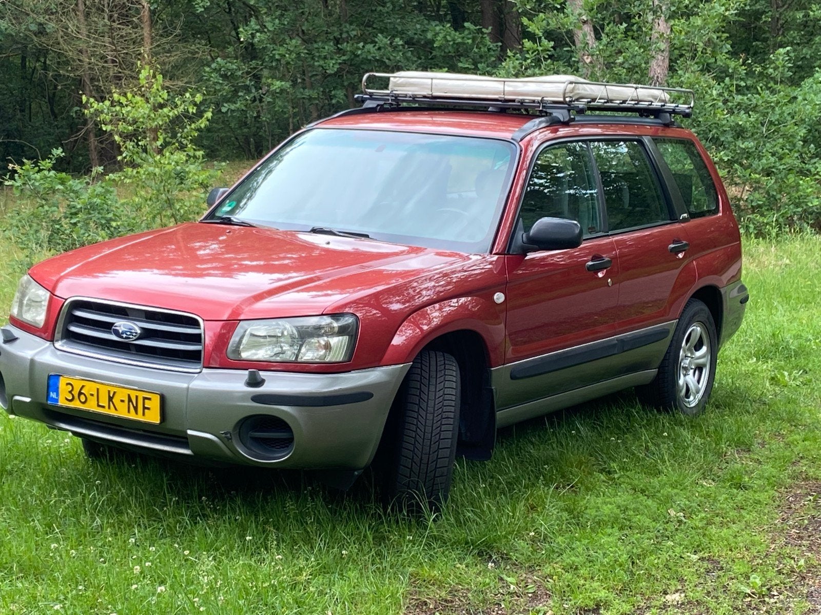 Subaru Forester 2.0 X AUT 2003 Rood NIEUWE APK, Auto's, Subaru, 125 pk, Origineel Nederlands, Forester, Vierwielaandrijving