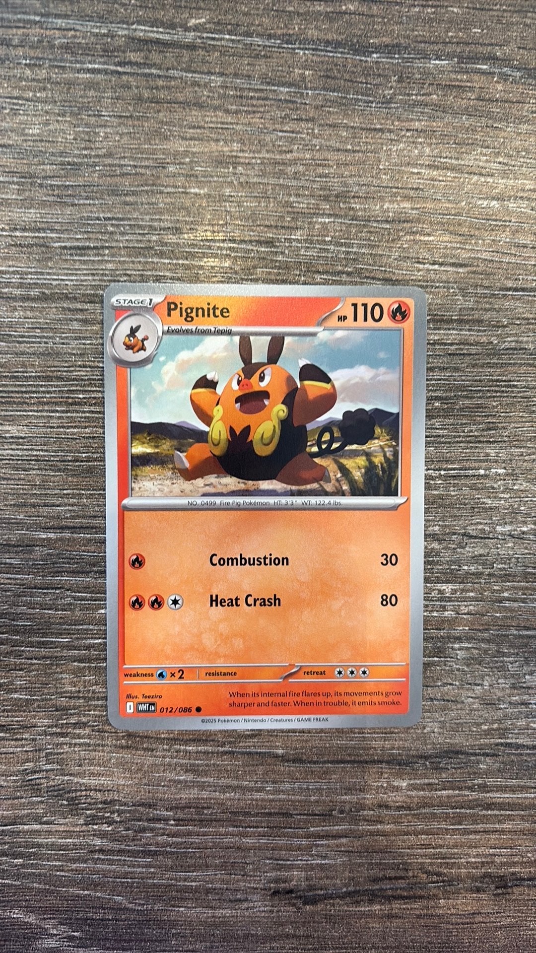 WHT Pignite 012/086, Ophalen of Verzenden, Zo goed als nieuw