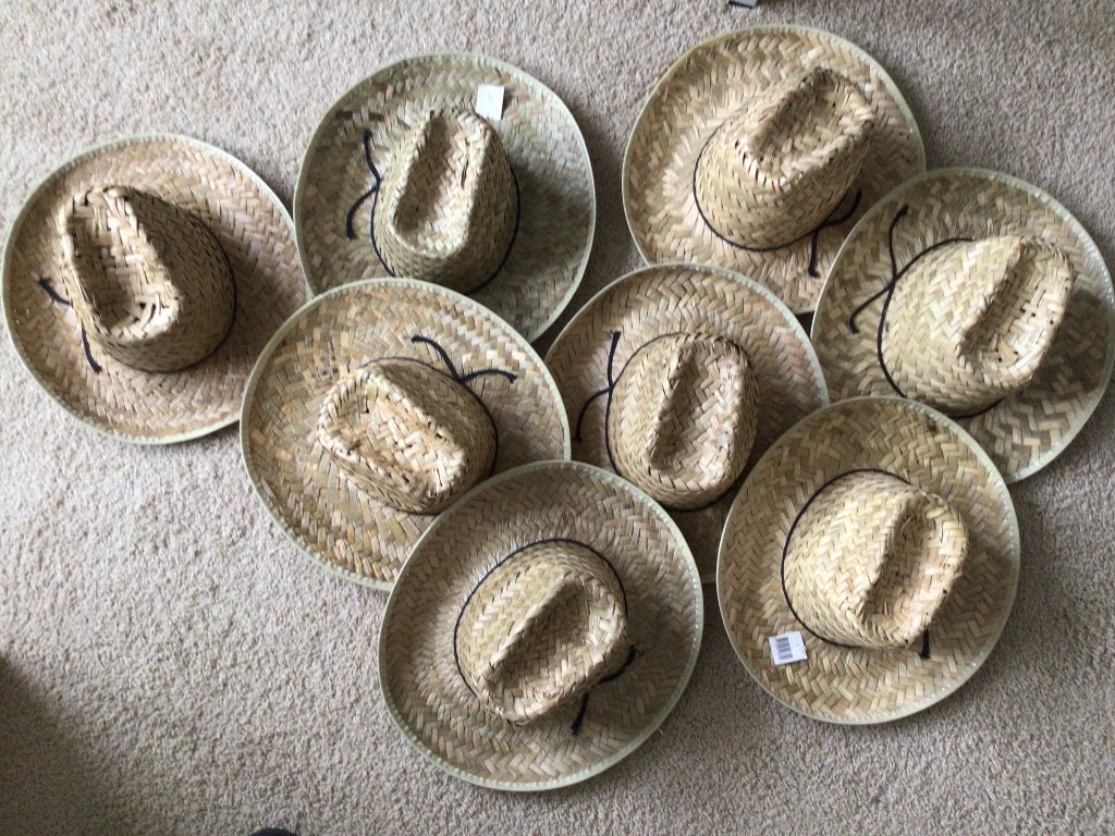 hoeden cowboy, Ophalen of Verzenden, Zo goed als nieuw, One size fits all
