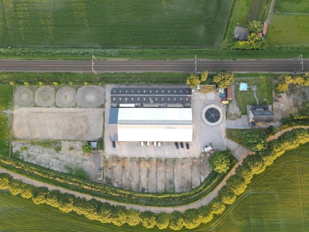 Eén pensionstal vrij in Hoeven, volpension incl. privéles, Stalling, 1 paard of pony