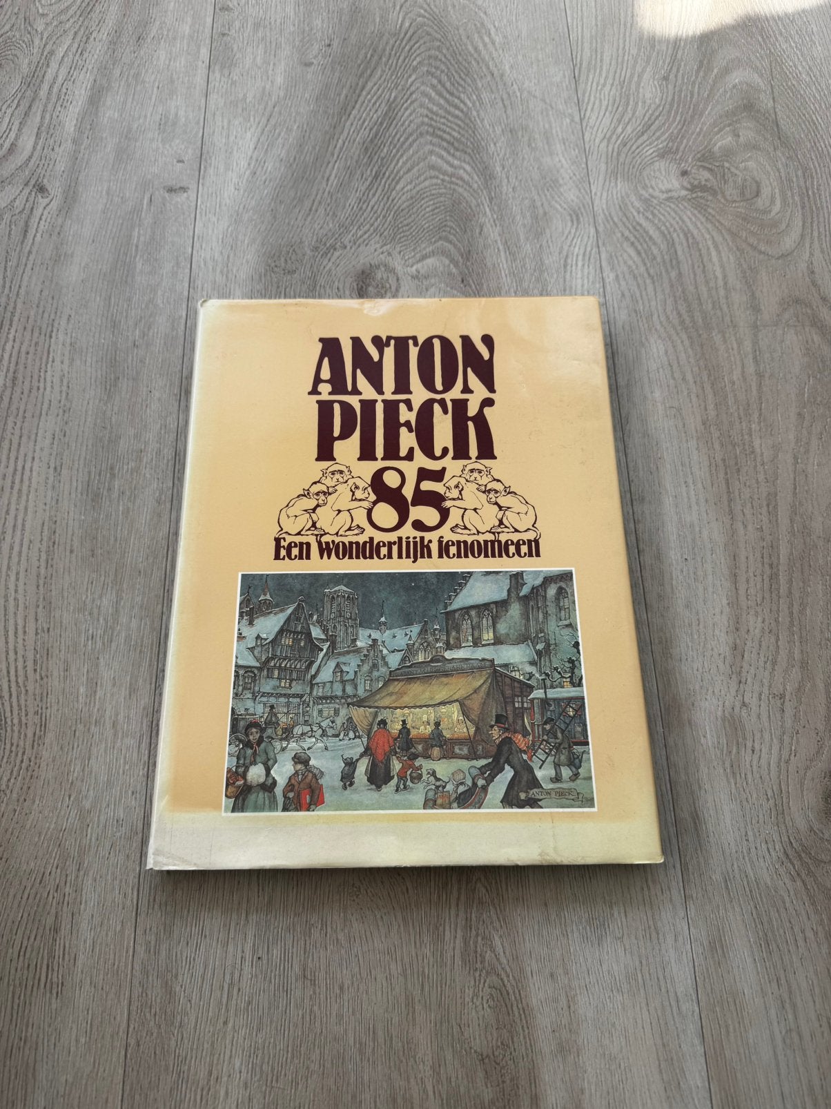 Vintage boek Anton Piekck 85 Een wonderlijk fenomeen, Ophalen of Verzenden, Zo goed als nieuw, Fotografen