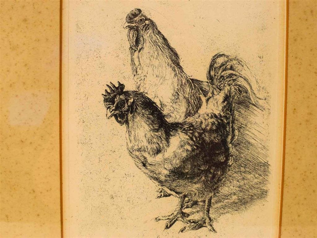 Een ets van een haan en een kip 53443, Verzamelen, Ophalen of Verzenden, Voor 1920, Ongelopen, Vogel
