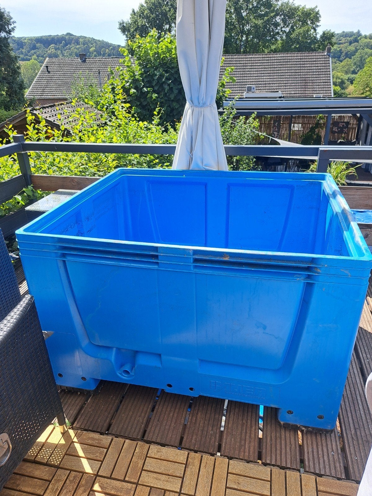 Quarantaine/ kweekbak 1 x 1,2 meter, Karper of Koi
