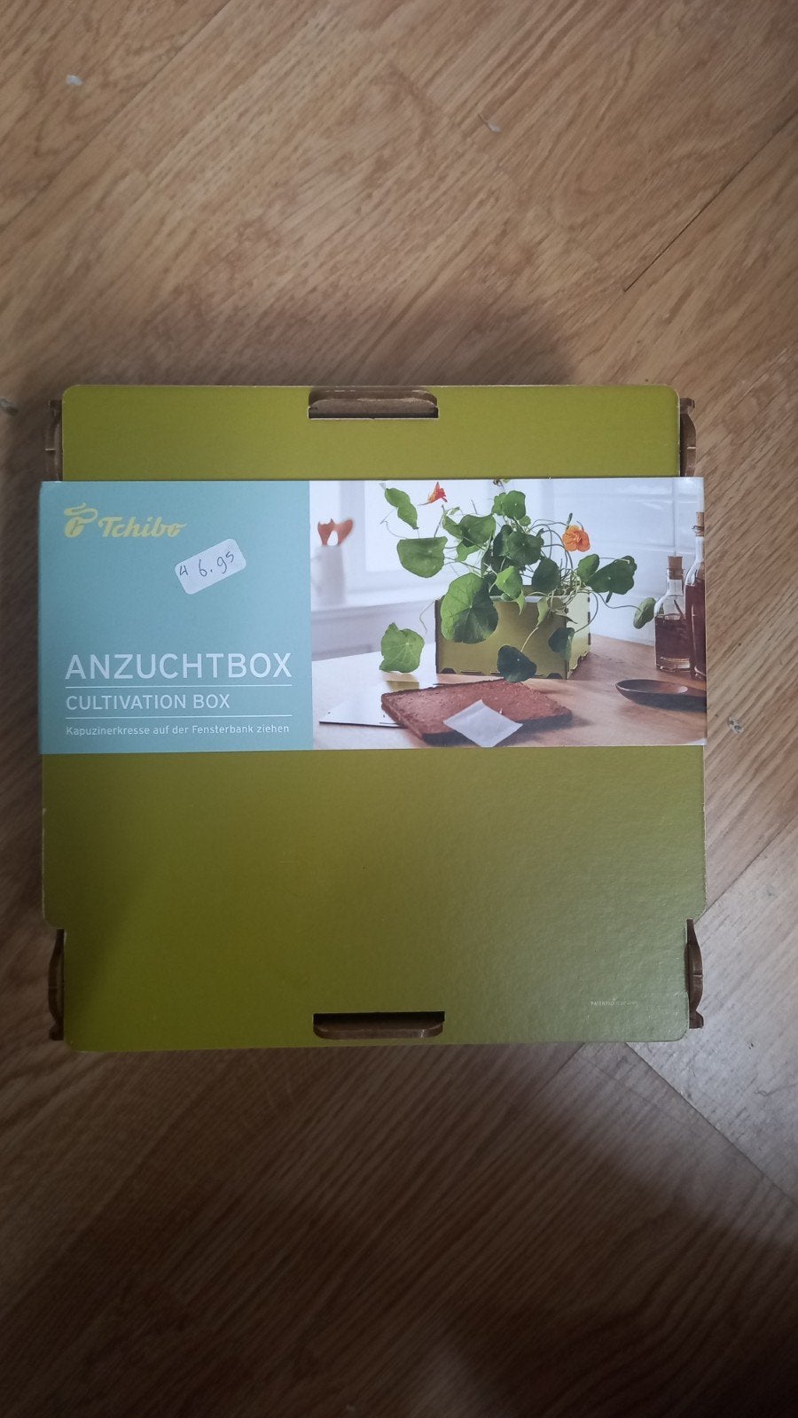 Tchibo Anzuchtbox - Kweekset voor Oost-Indische kers, Ophalen of Verzenden, Gehele jaar, Volle zon, Zaad