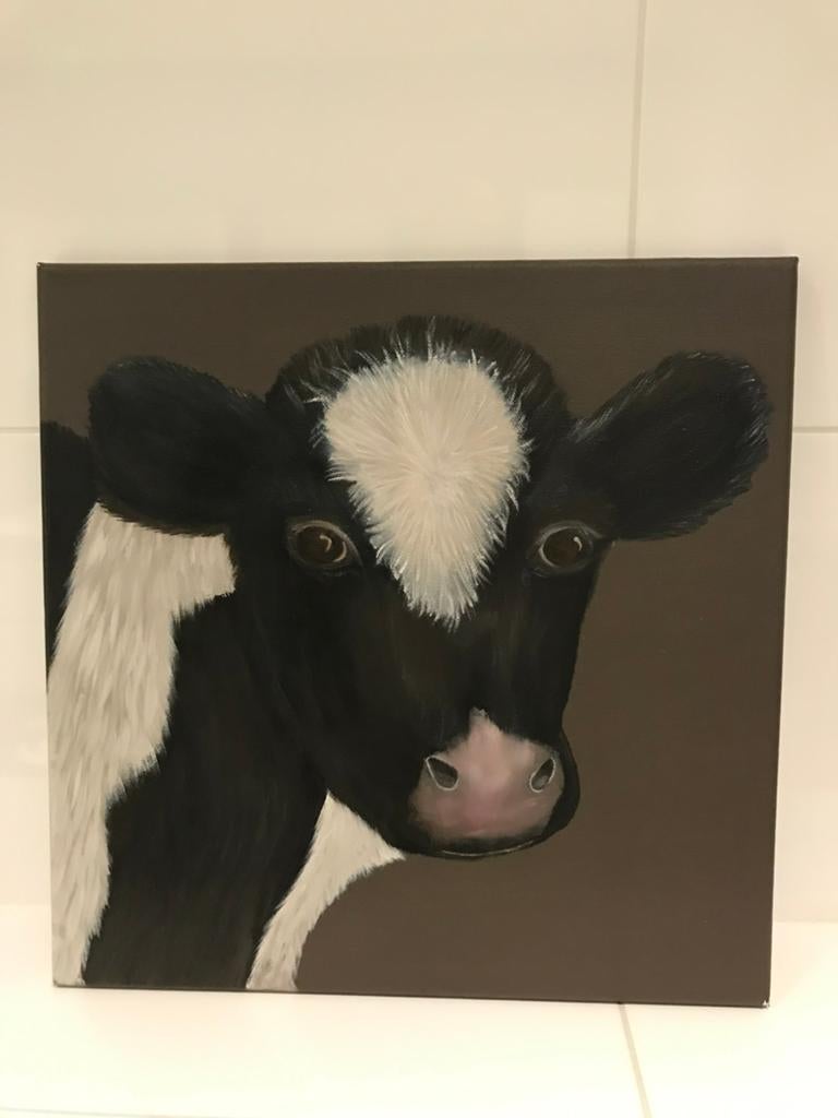 Schilderij  Kalf  40x40 cm., Ophalen of Verzenden