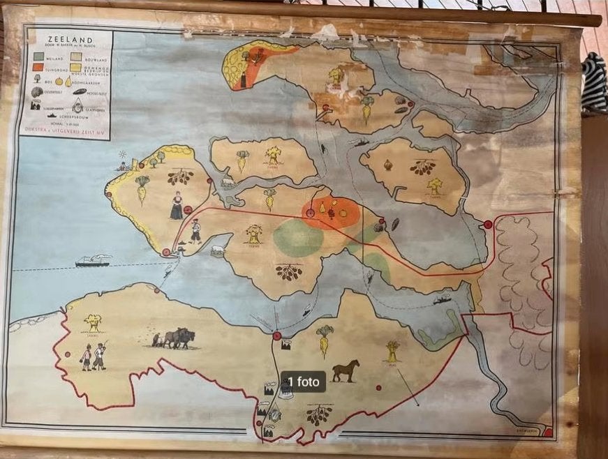 Originele Oude Schoolplaat Zeeland, Antiek en Kunst, Ophalen of Verzenden, Natuur en Biologie