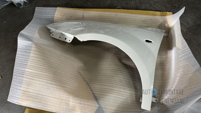 Scherm links-voor van een Alfa Romeo Mito (251A), -, -, Nieuw, Ophalen of Verzenden
