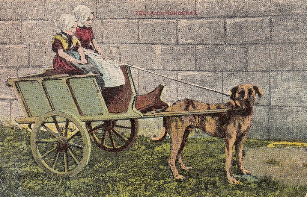 Zeeland   -   hondenkar   ,   1909                  =0005=, Verzamelen, Ophalen of Verzenden, Voor 1920, Gelopen, Zeeland