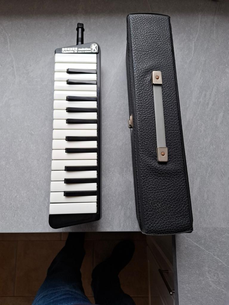 Hohner Melodica Cassotto 26 met koffer, Muziek en Instrumenten, Ophalen, Gebruikt