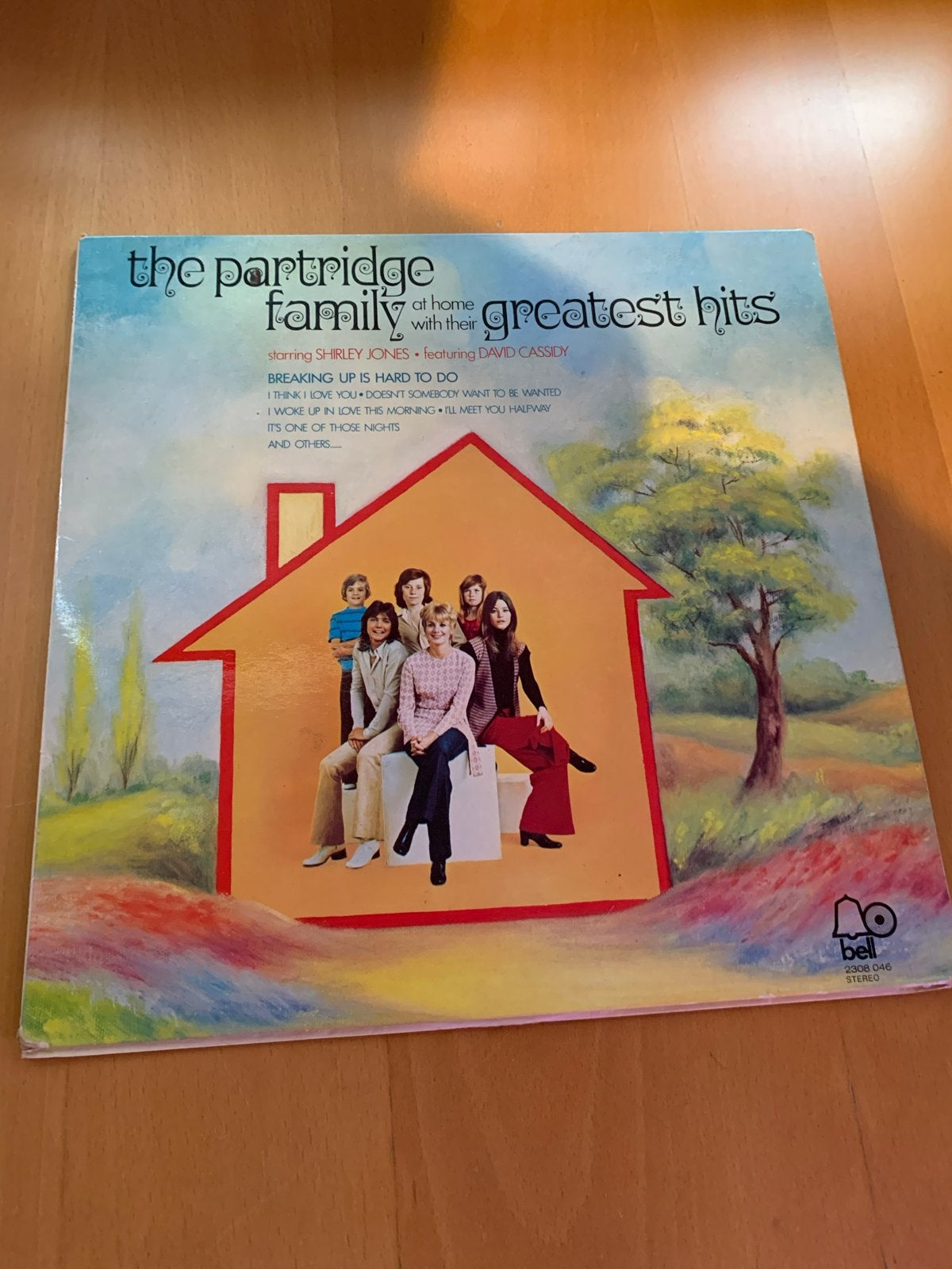 The Partridge Family - Greatest Hits LP (Bell 2308046), LP, Gebruikt, Pop, Ophalen of Verzenden