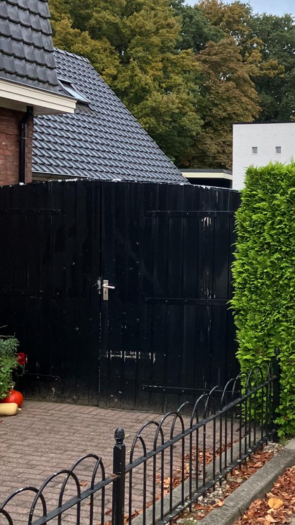 Gratis af te halen: poort, Tuin en Terras, Tuinhekken en Hekwerk, Ophalen, Gebruikt, Hout, Tuinhek