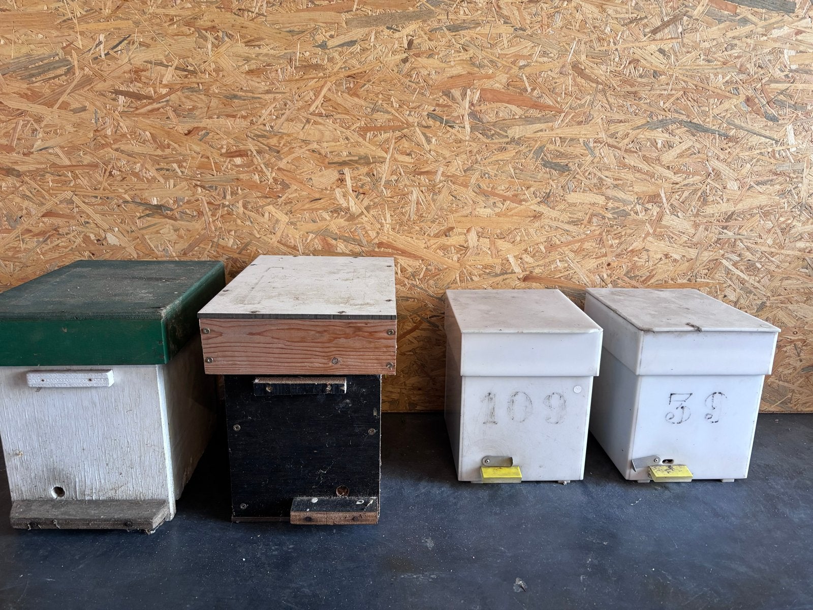 4x EWK Bevruchtingskastjes / Bevruchtingsvolkjes – moerteelt, Dieren en Toebehoren, Insecten en Spinnen, Bijen