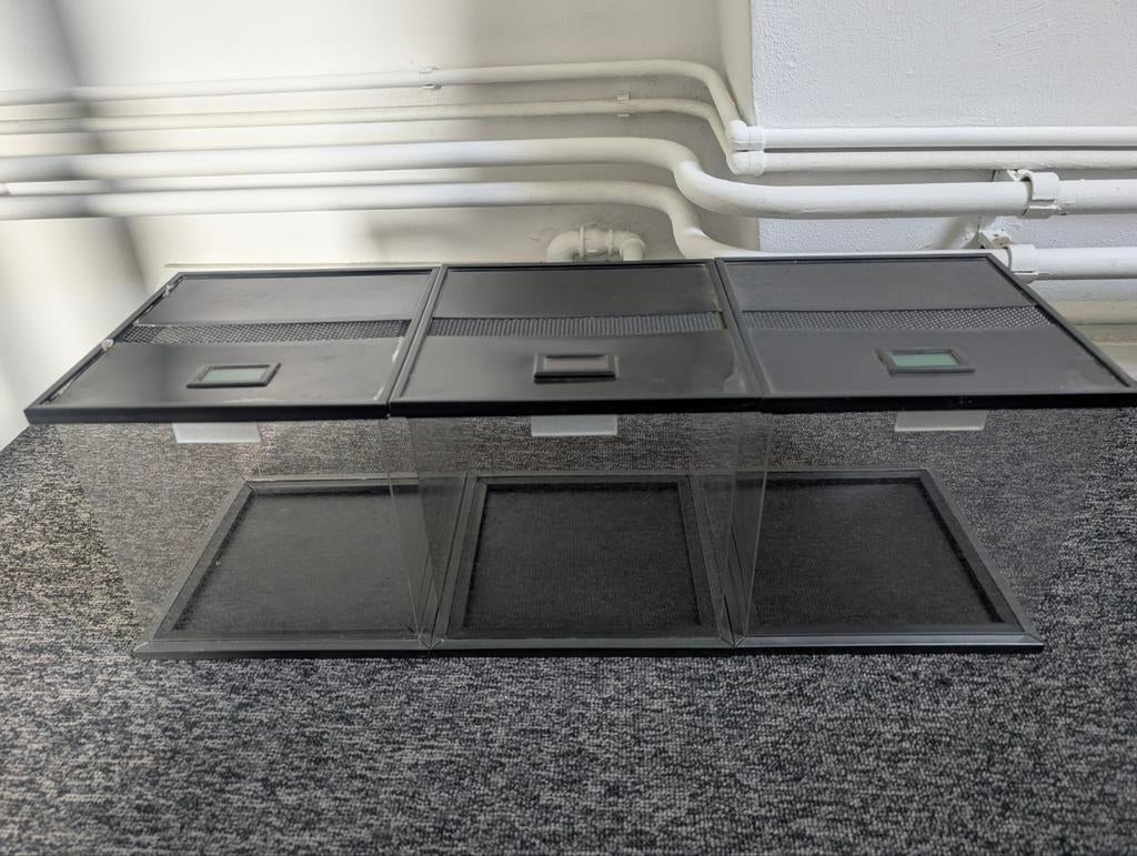 3x terrarium 20x20x20 – ideaal voor spinnen, Dieren en Toebehoren, Spin of Schorpioen